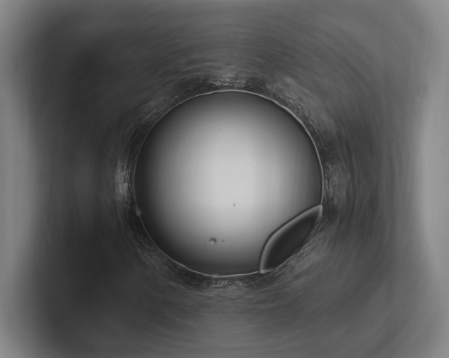 X0000102761154200808181103