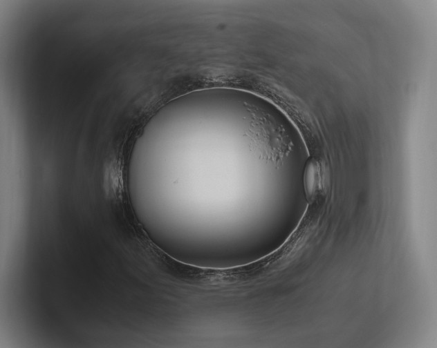 X0000102761155200808181103
