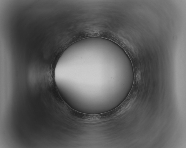 X0000102761156200808181103