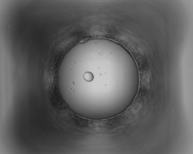 X0000102761157200808181103
