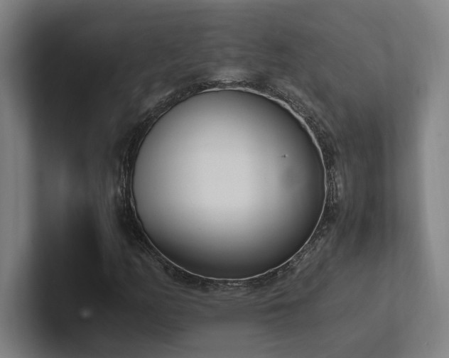 X0000102761158200808181103
