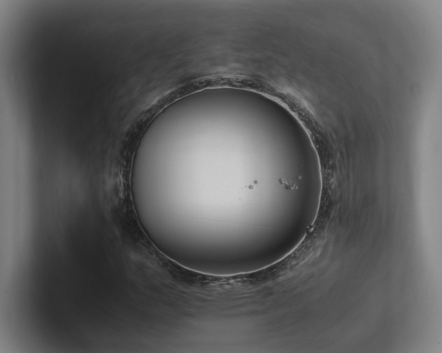 X0000102761159200808181103