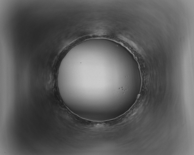 X0000102761160200808181103