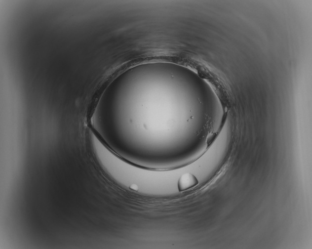 X0000102761161200808181103