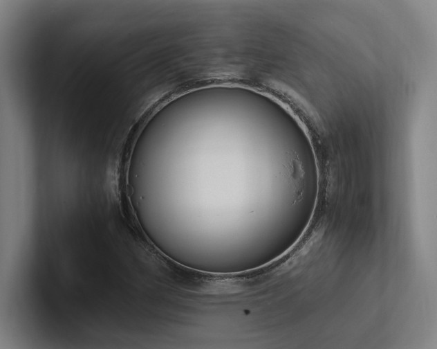 X0000102761162200808181103