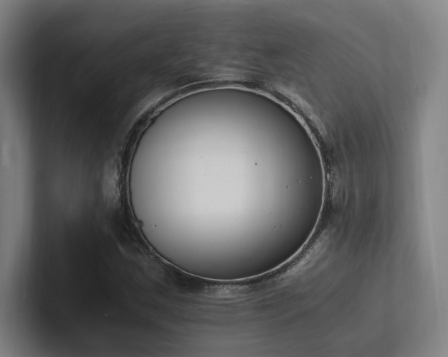 X0000102761163200808181103