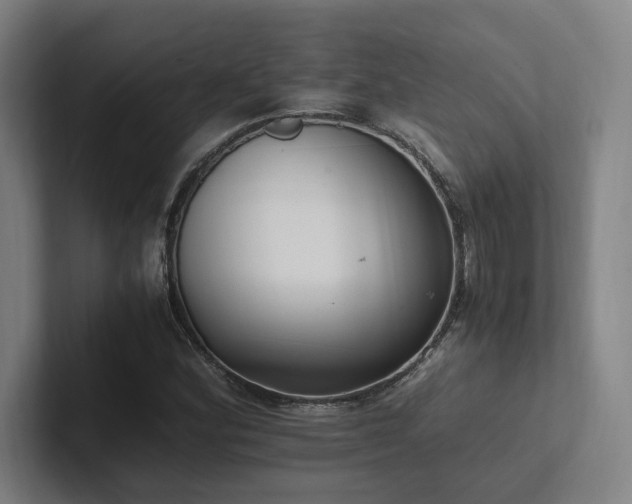 X0000102761164200808181103