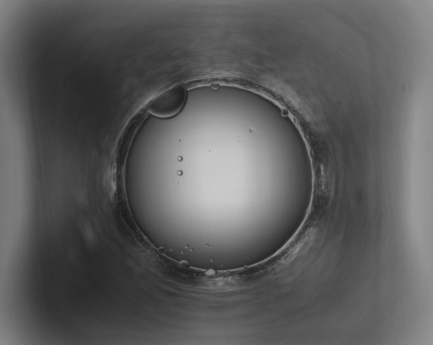 X0000102761165200808181103