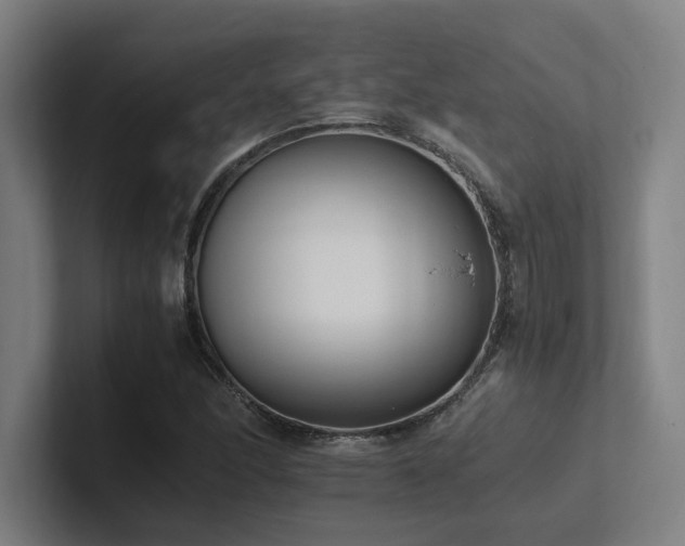 X0000102761166200808181103