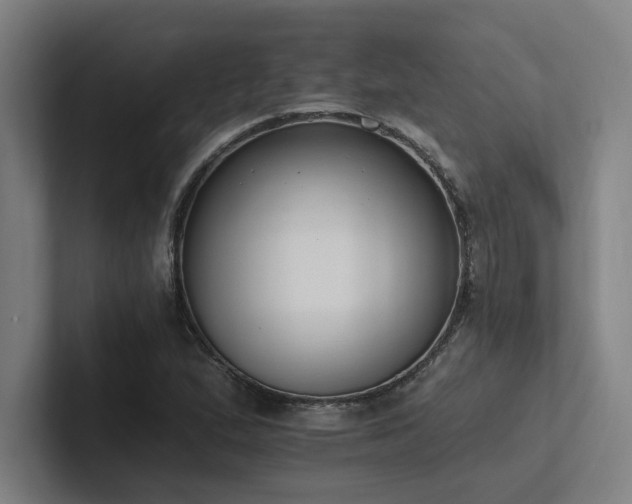 X0000102761167200808181103
