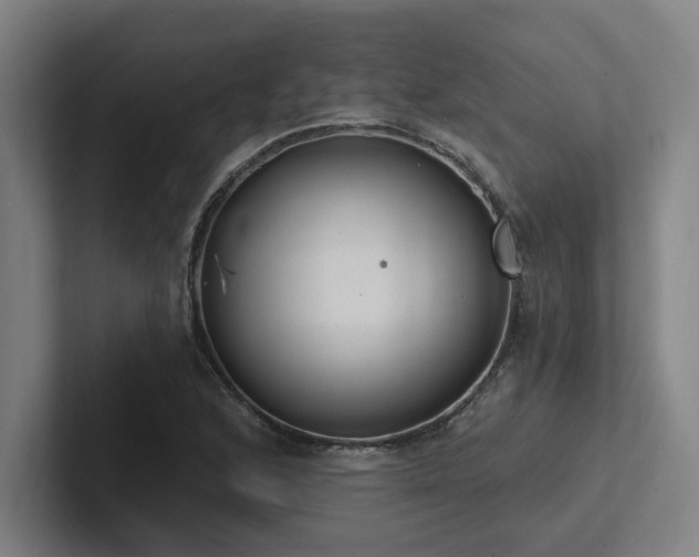 X0000102761168200808181103
