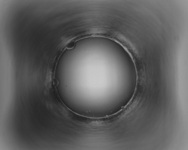 X0000102761169200808181103
