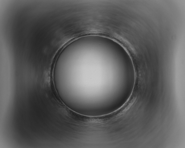 X0000102761170200808181103