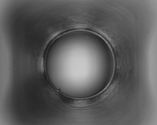 X0000102761171200808181103