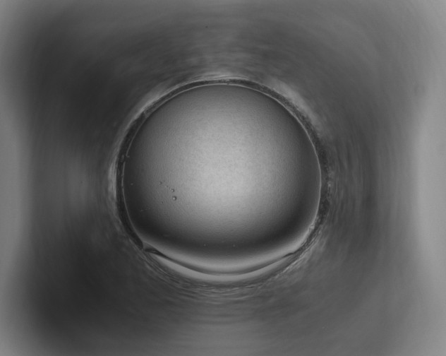 X0000102761173200808181103