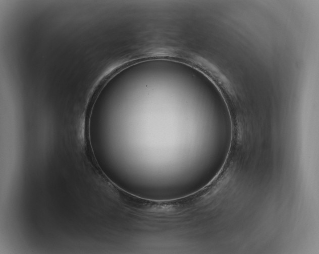X0000102761174200808181103