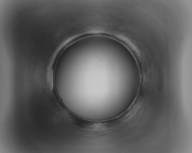 X0000102761175200808181103