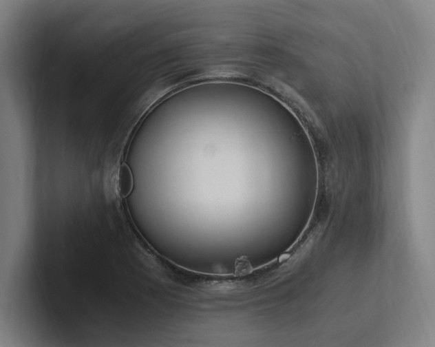 X0000102761177200808181103