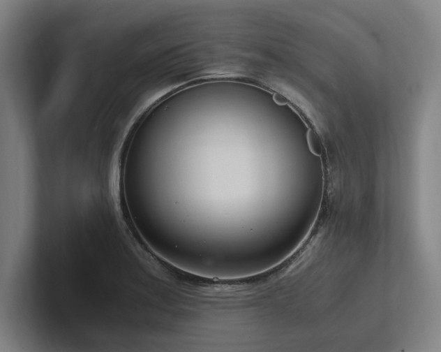 X0000102761179200808181103