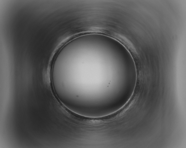 X0000102761180200808181103