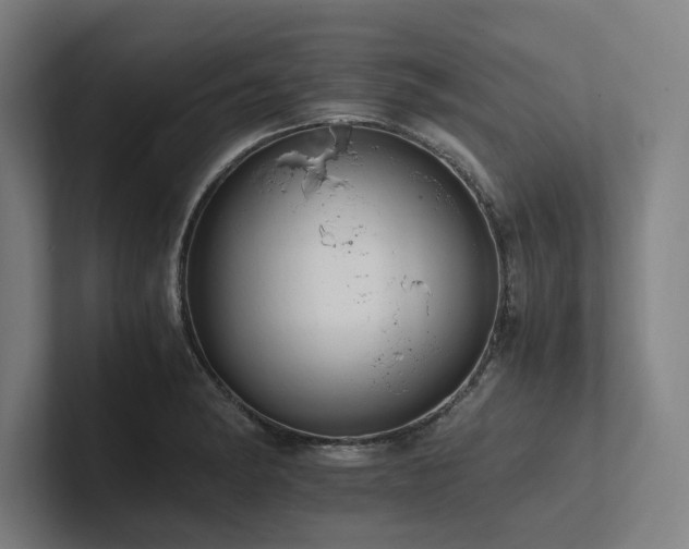 X0000102761182200808181103