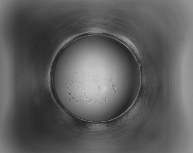 X0000102761183200808181103