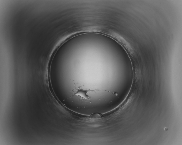 X0000102761184200808181103