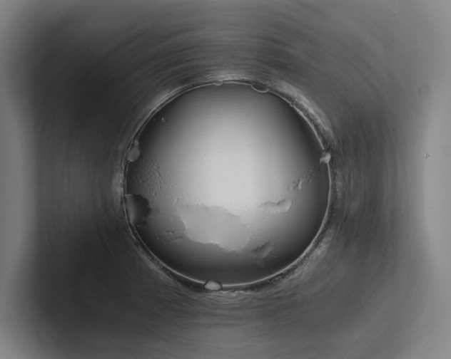 X0000102761185200808181103