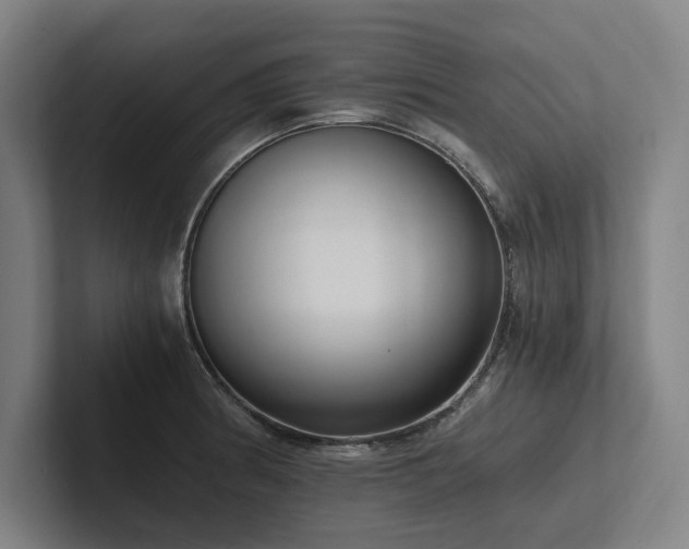 X0000102761186200808181103