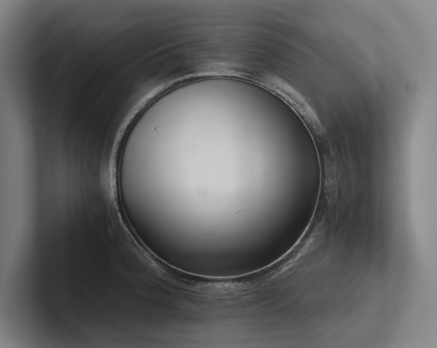 X0000102761188200808181103