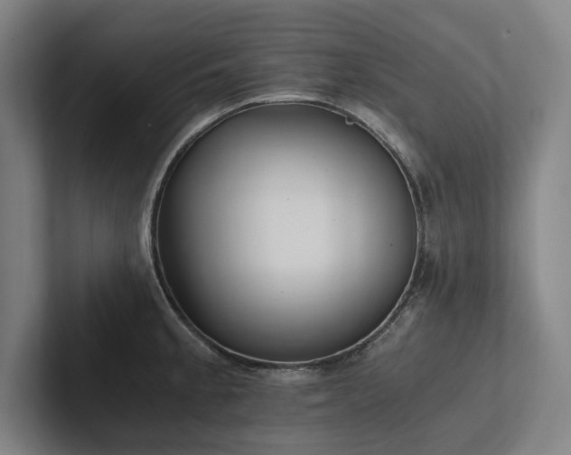 X0000102761189200808181103