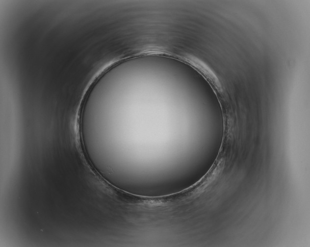 X0000102761190200808181103