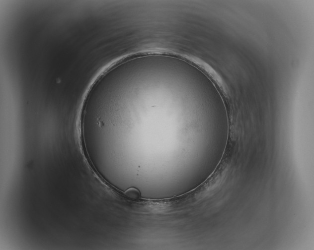 X0000102761191200808181103