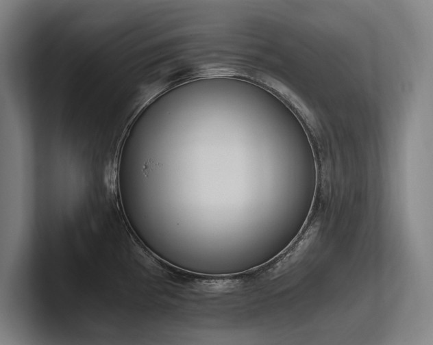 X0000102761193200808181103