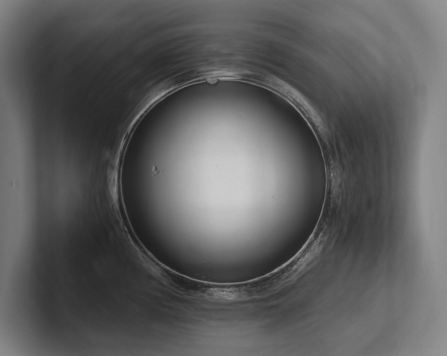 X0000102761194200808181103