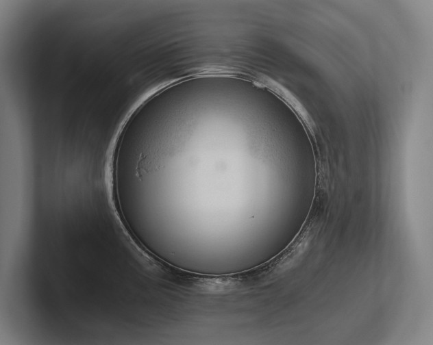 X0000102761195200808181103
