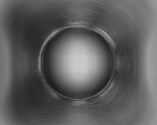 X0000102761196200808181103