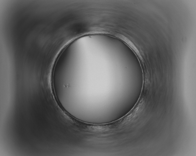 X0000102761197200808181102