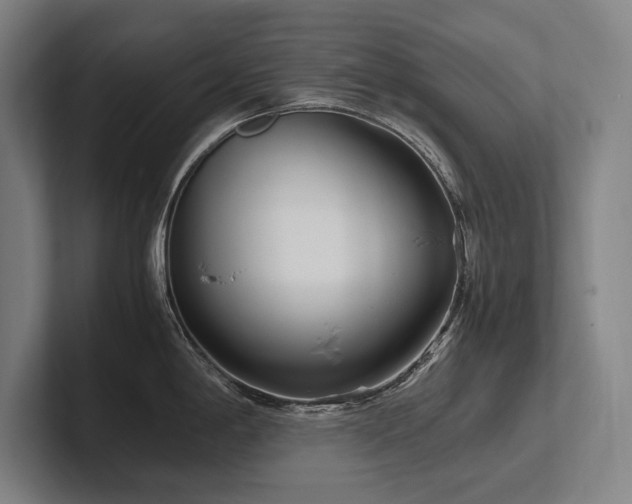 X0000102761198200808181102
