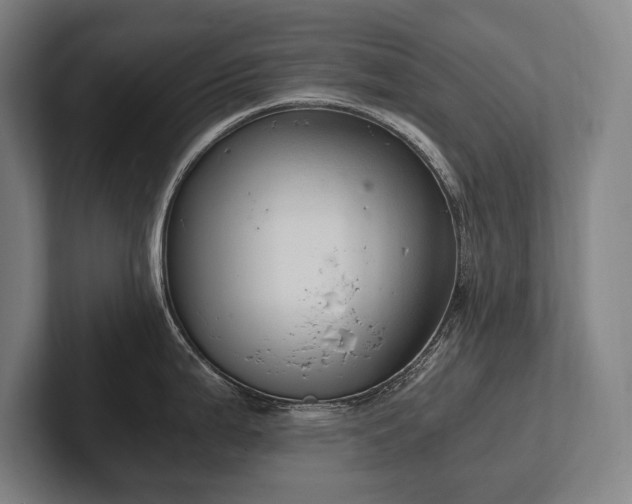 X0000102761199200808181102