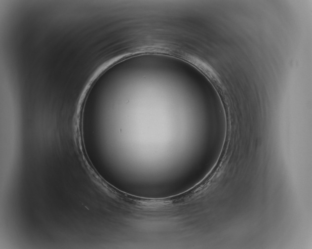 X0000102761200200808181102