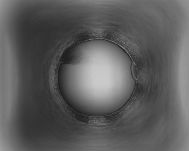 X0000102761201200808181102