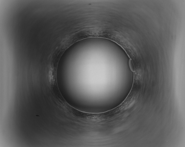 X0000102761202200808181102