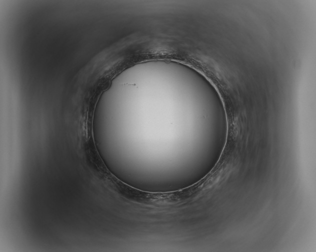 X0000102761205200808181102