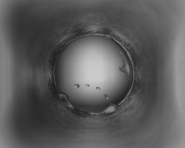 X0000102761206200808181102