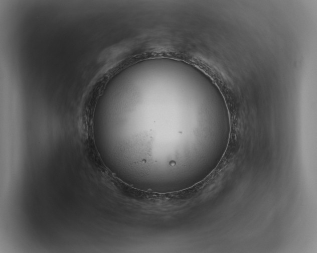 X0000102761207200808181102