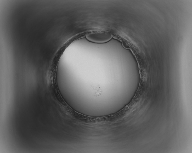 X0000102761208200808181102