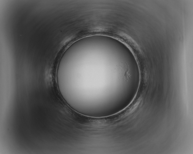 X0000102761210200808181102