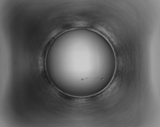 X0000102761211200808181102