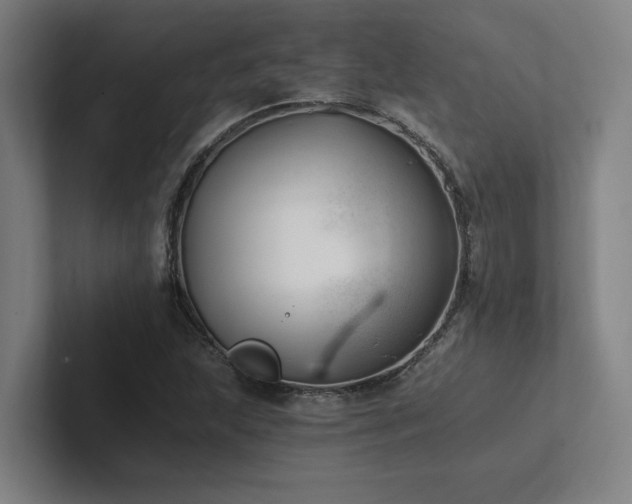 X0000102761215200808181102